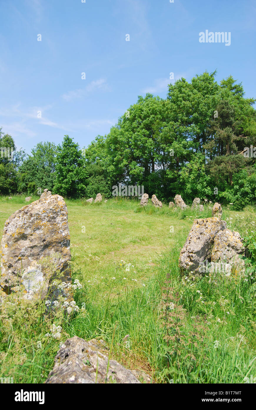 "The King's Men' Stone Circle (Der Rollright Stones), in der Nähe von Long Compton, Oxfordshire, England, Vereinigtes Königreich Stockfoto