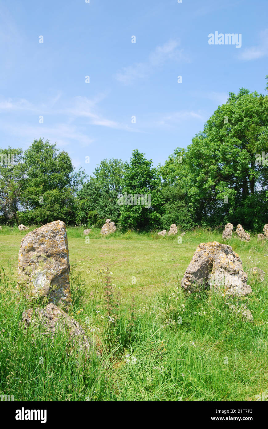 "The King's Men' Stone Circle (Der Rollright Stones), in der Nähe von Long Compton, Oxfordshire, England, Vereinigtes Königreich Stockfoto