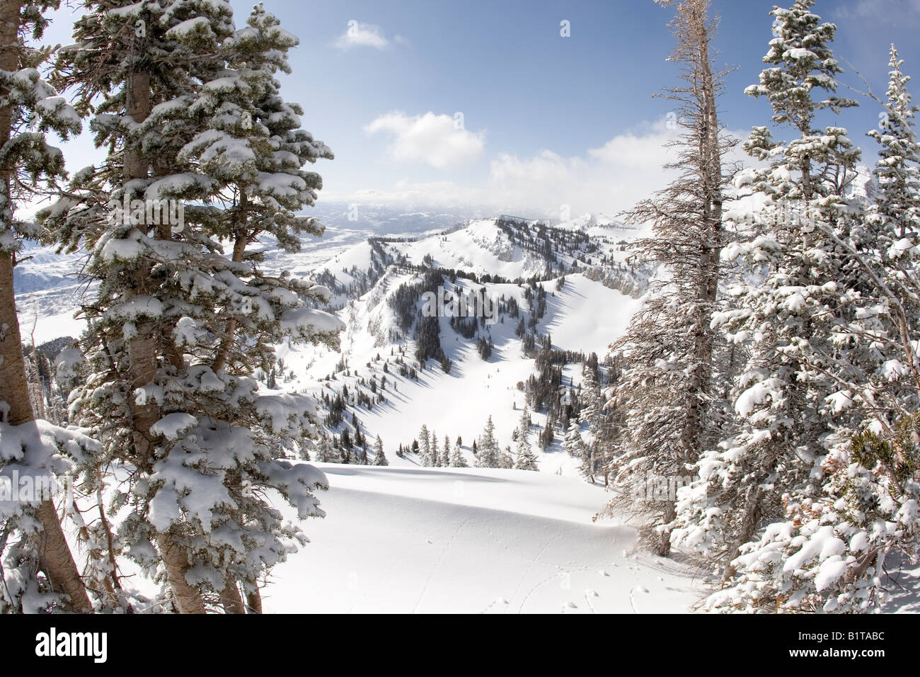 Jackson Hole Wyoming Ski Schüssel panorama Stockfoto