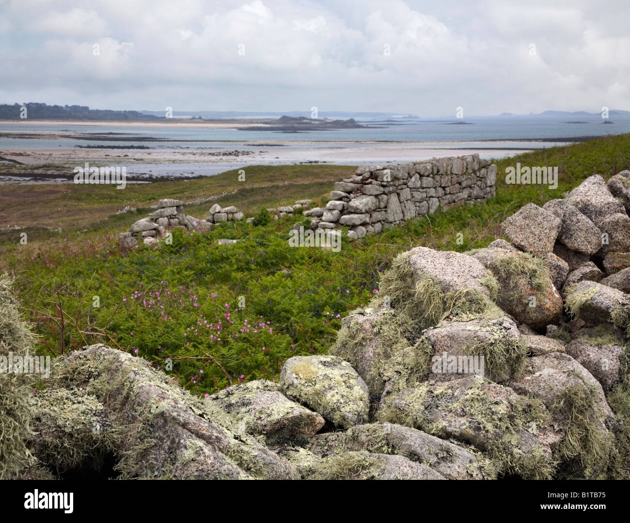 Samson blickt Tresco ruiniert Haus im Vordergrund Isles of Scilly Stockfoto