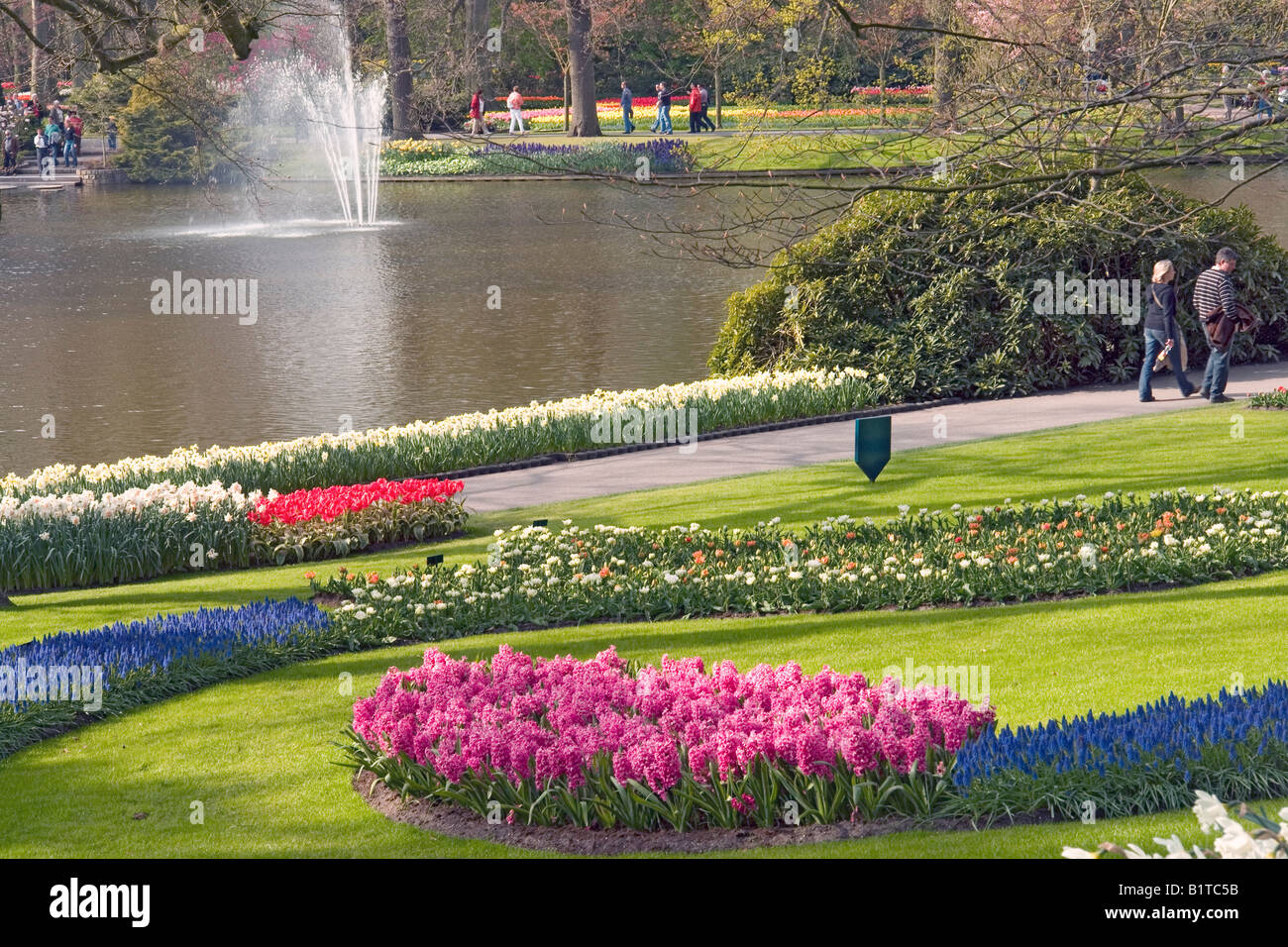 Frühlingsblumen im Keukenhof Gärten, Lisse, Niederlande Stockfotografie