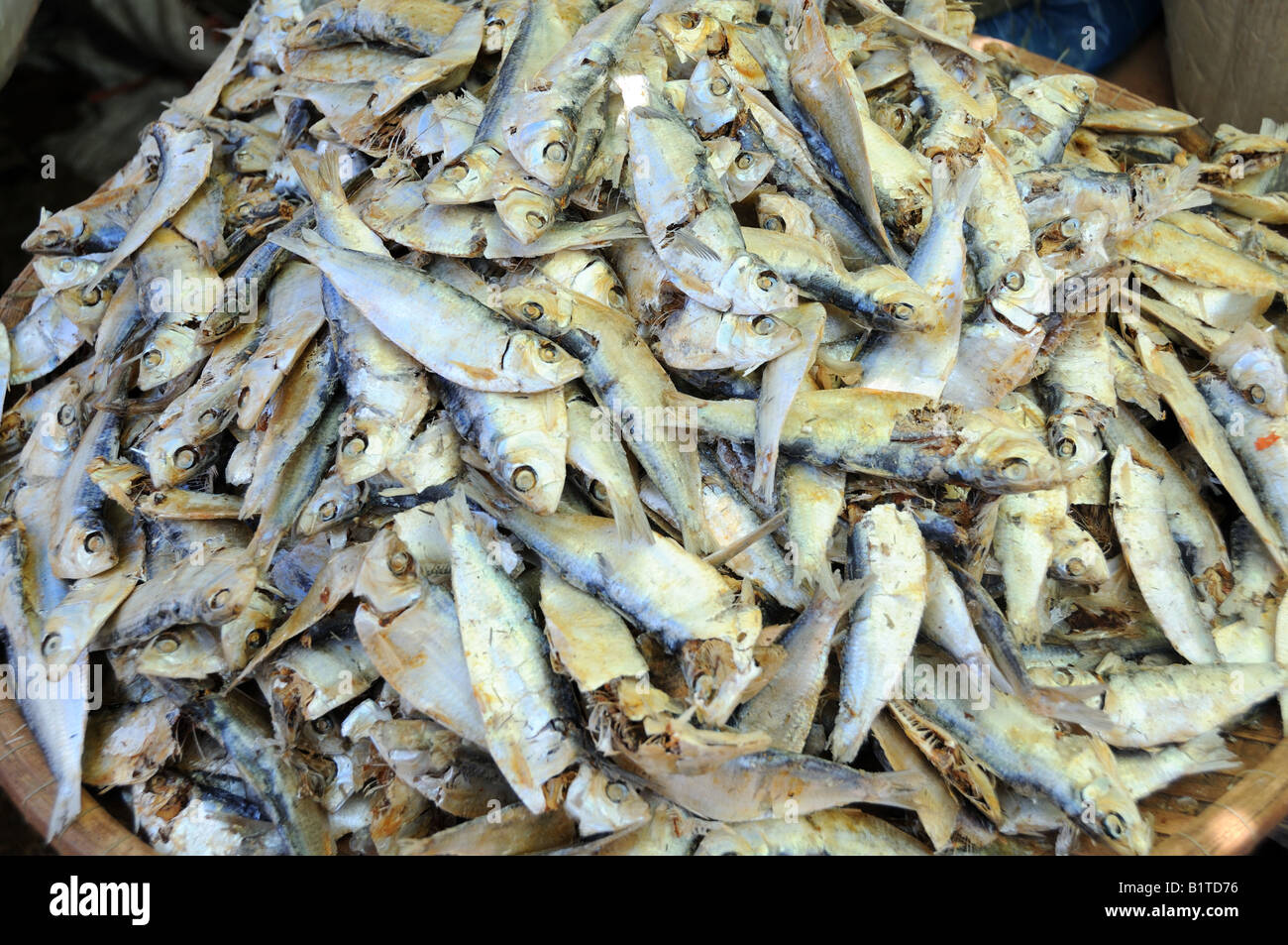 Getrockneter Fisch auf dem Fischmarkt Hoi An Vietnam Stockfoto