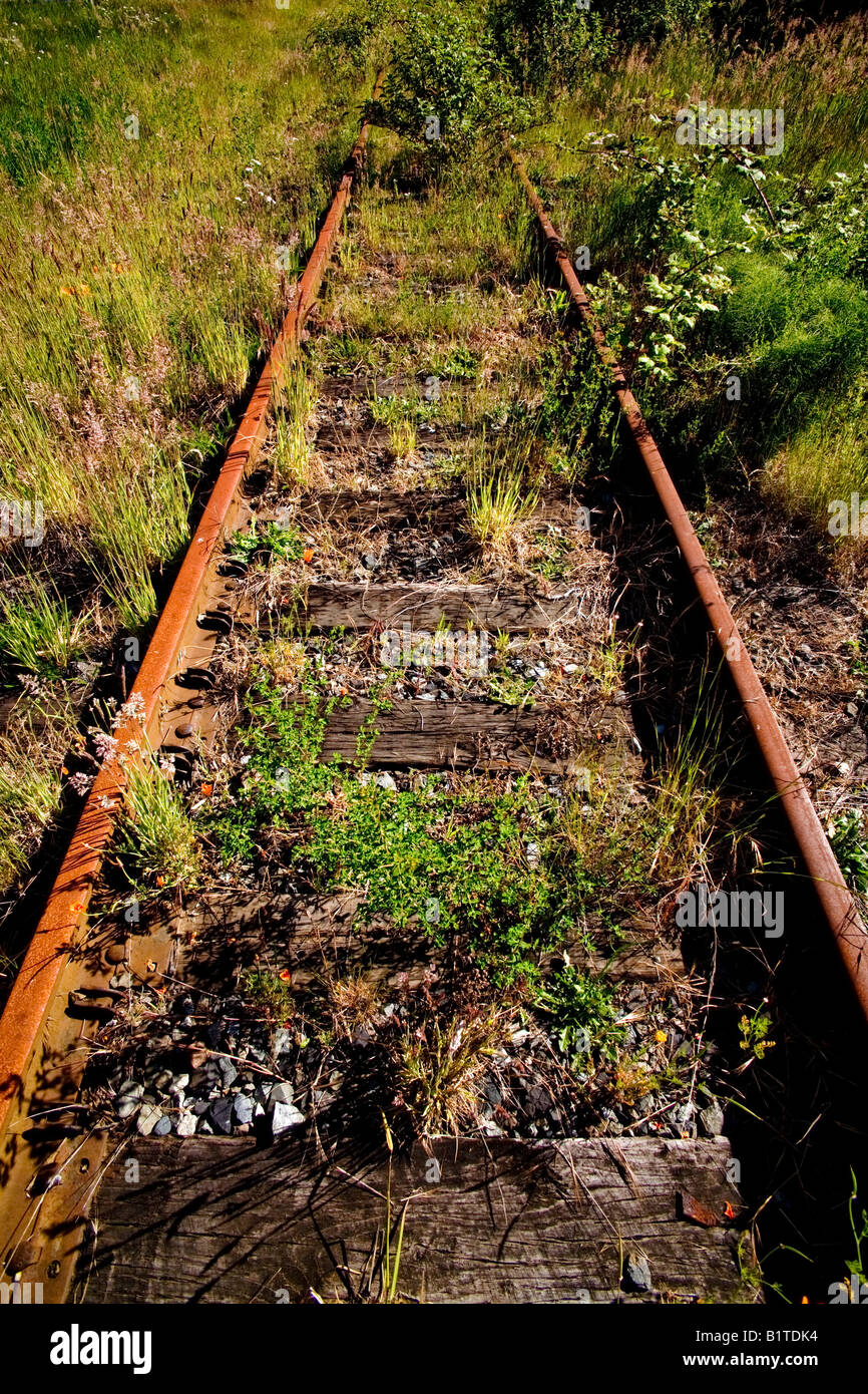 Lange verlassenen Eisenbahn verfolgt Rost in einem Unkraut bedeckt Gleisbett in Tacoma, Washington Stockfoto
