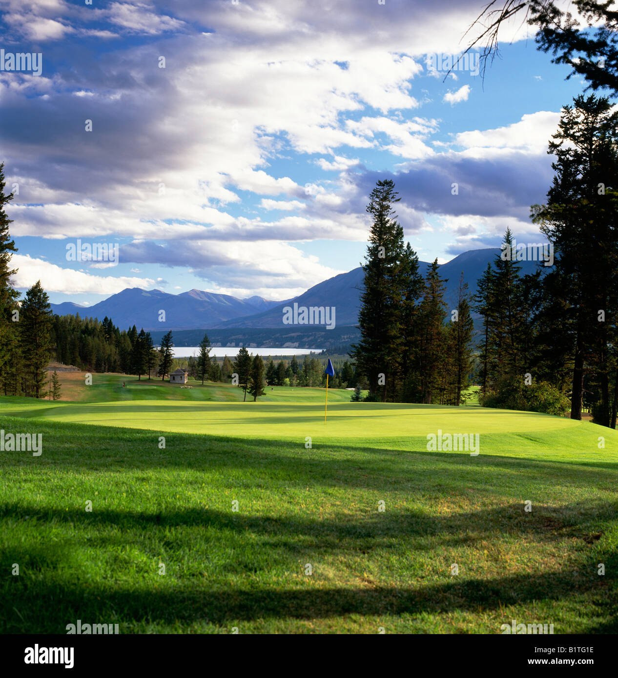 Berg-Golfplatz, Fairmont Hot Springs, Britisch-Kolumbien, Kanada Stockfoto