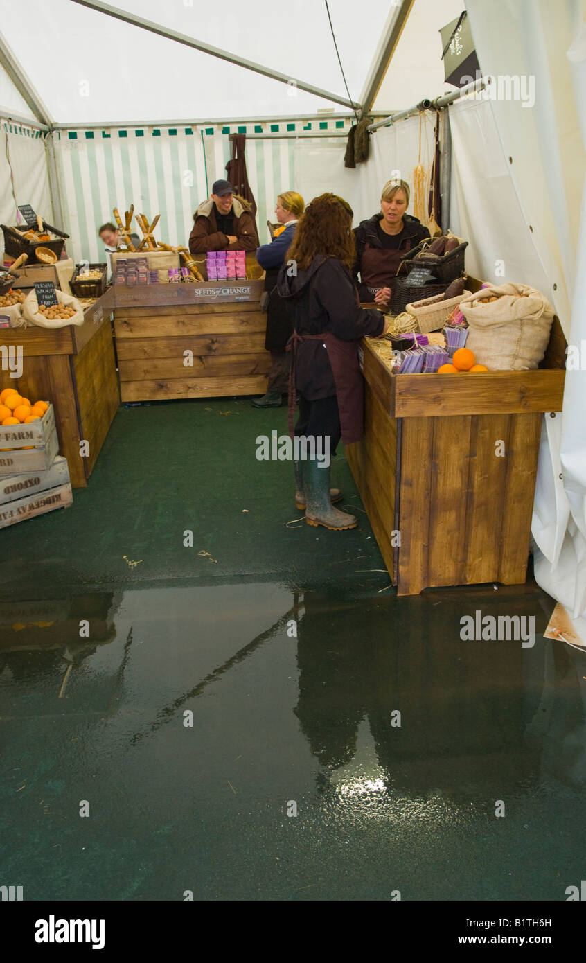 Unter Wasser stand auf The Guardian Hay Festival 2008 Hay on Wye Powys Wales UK EU Stockfoto