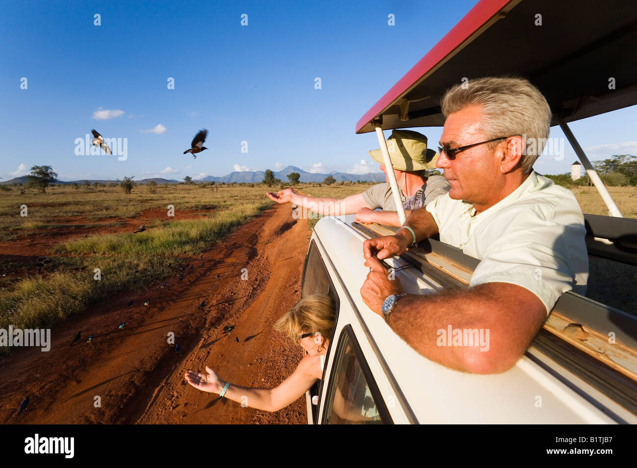 Touristen in einem Safari-bus Fütterung Vögel Taita Hills Game Reserve Küste Kenia Stockfoto