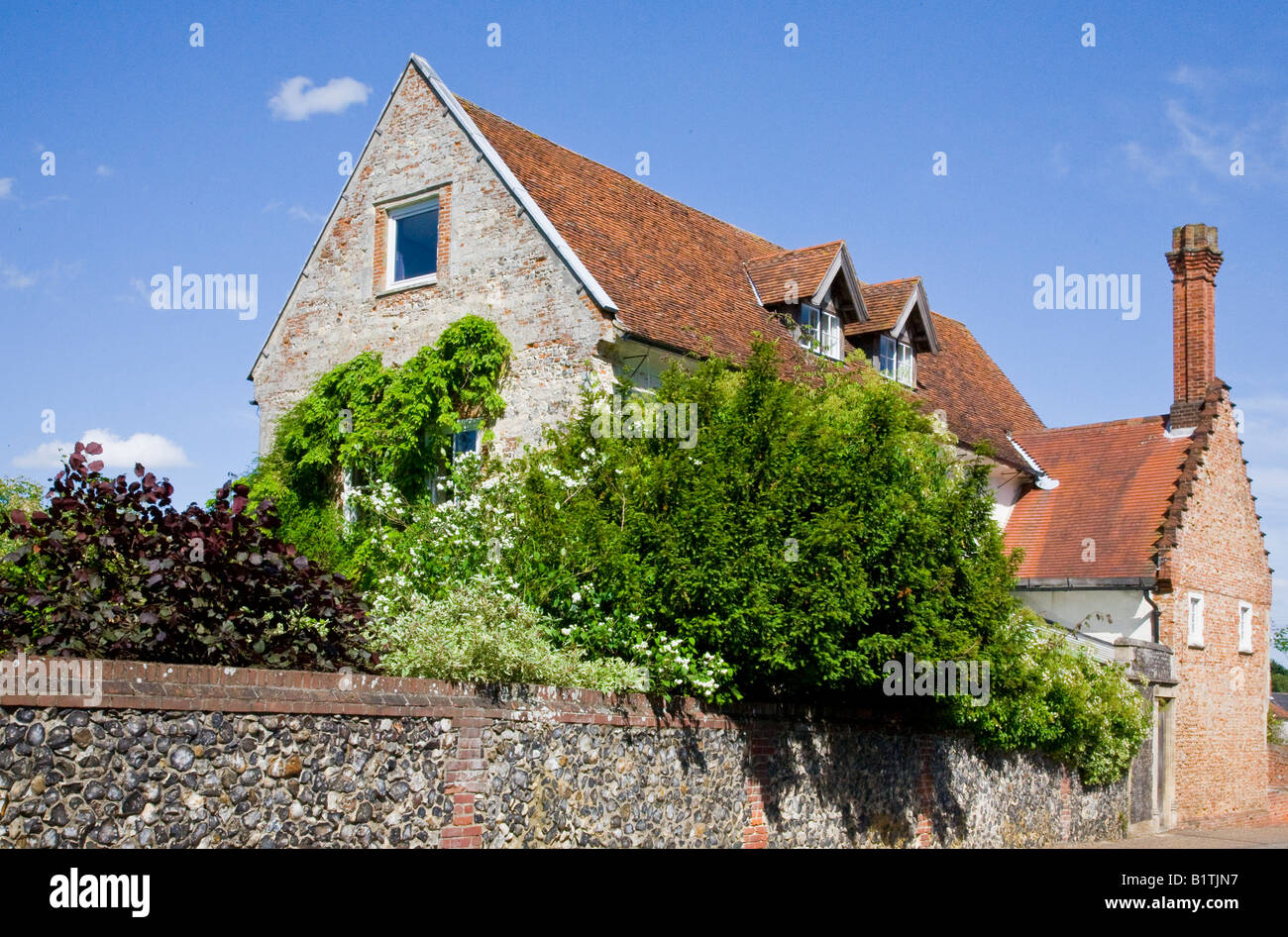 Haus im alten Catton Dorf Norwich Norfolk England UK Stockfoto