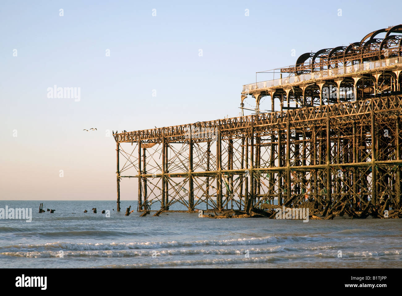 Morgensonne über Brightons West Pier Stockfoto