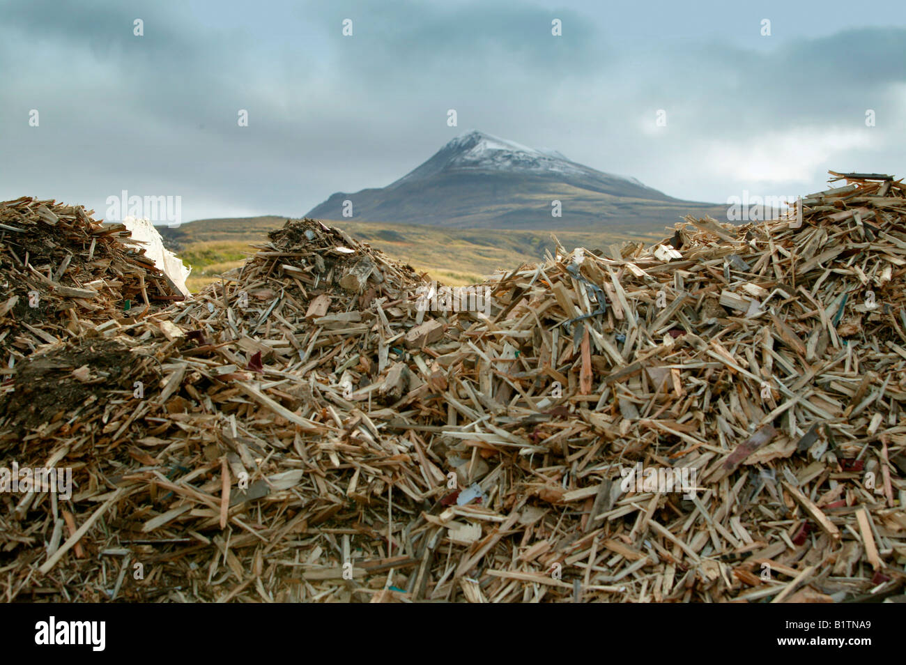 Mountain Wood Chips für das Recycling Stockfoto