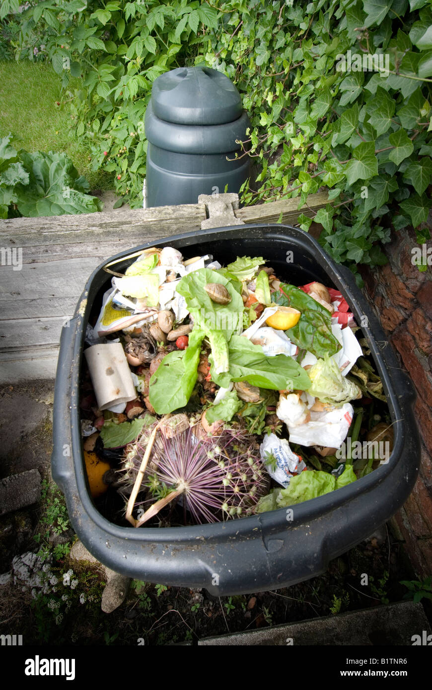 offenen schwarzen Kunststoff Kompost Inhalt angezeigt Stockfoto