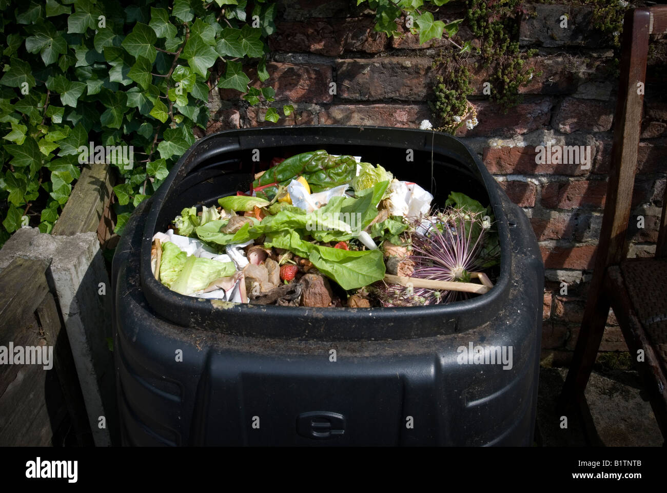 offenen schwarzen Kunststoff Kompost Inhalt angezeigt Stockfoto
