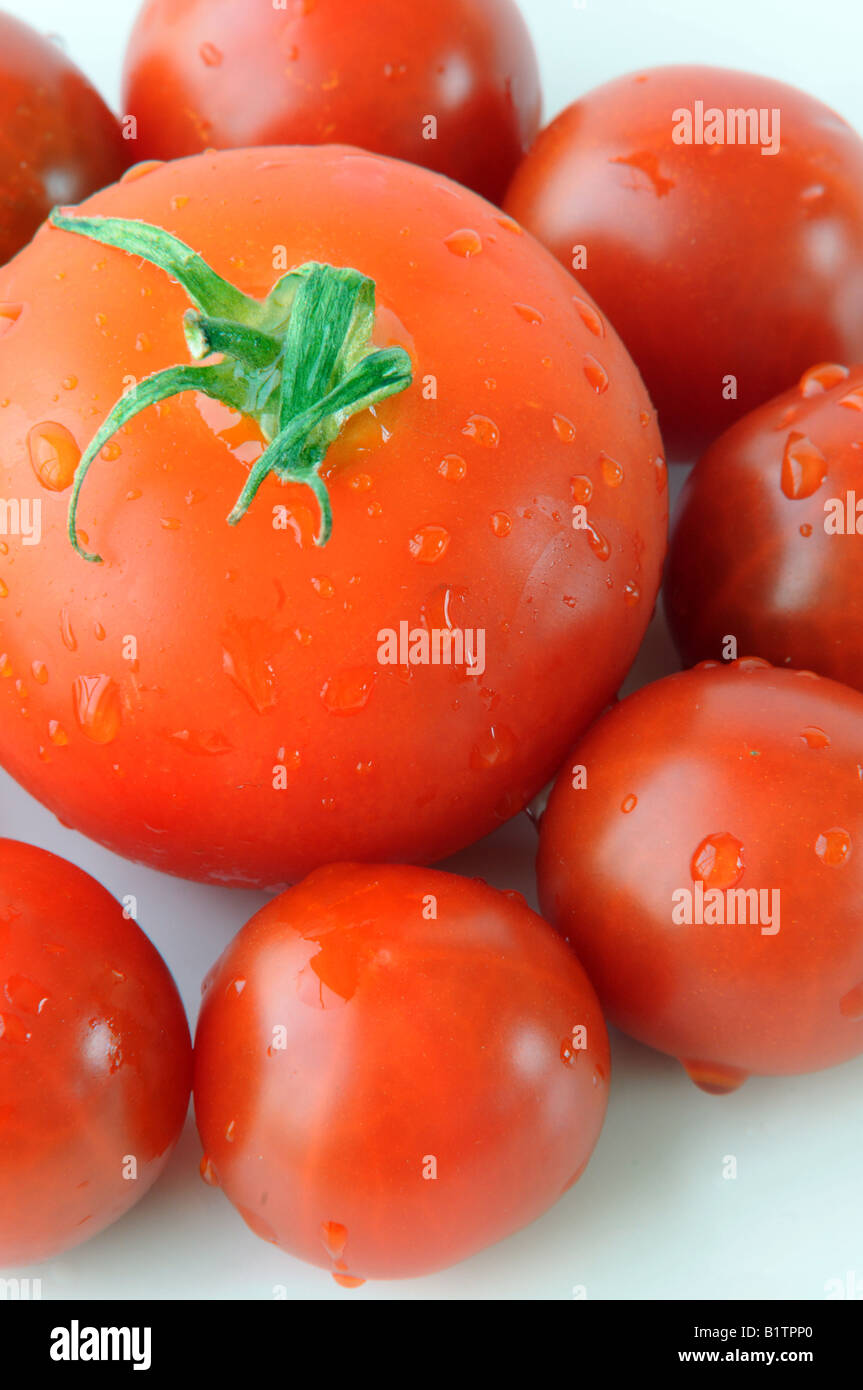 Kleine und große Bio-Tomaten Stockfoto