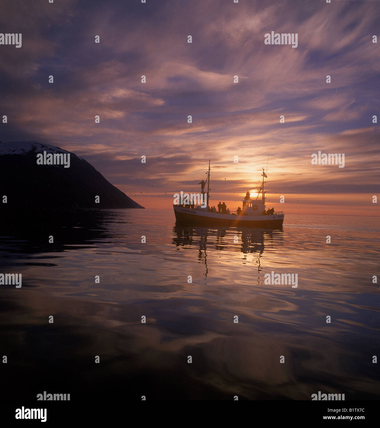 Touristen auf Whale Watching Boot bei Sonnenuntergang, Husavik Island Stockfoto