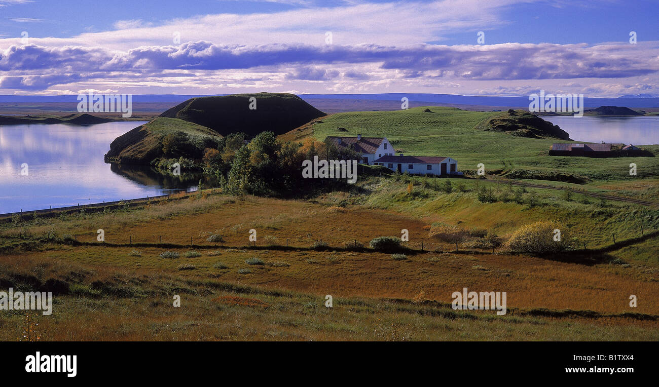 Pseudocraters in der Nähe von Hof am See Myvatn, Island Stockfoto