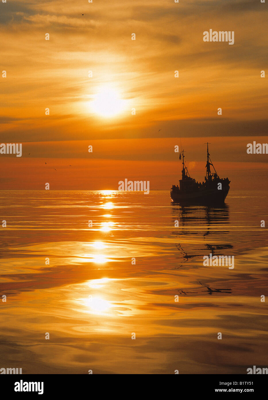 Fischkutter bei Sonnenuntergang, Husavik Island Stockfoto
