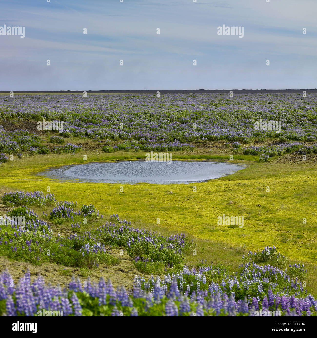 Myrdalssandur Sander Plain Stockfoto