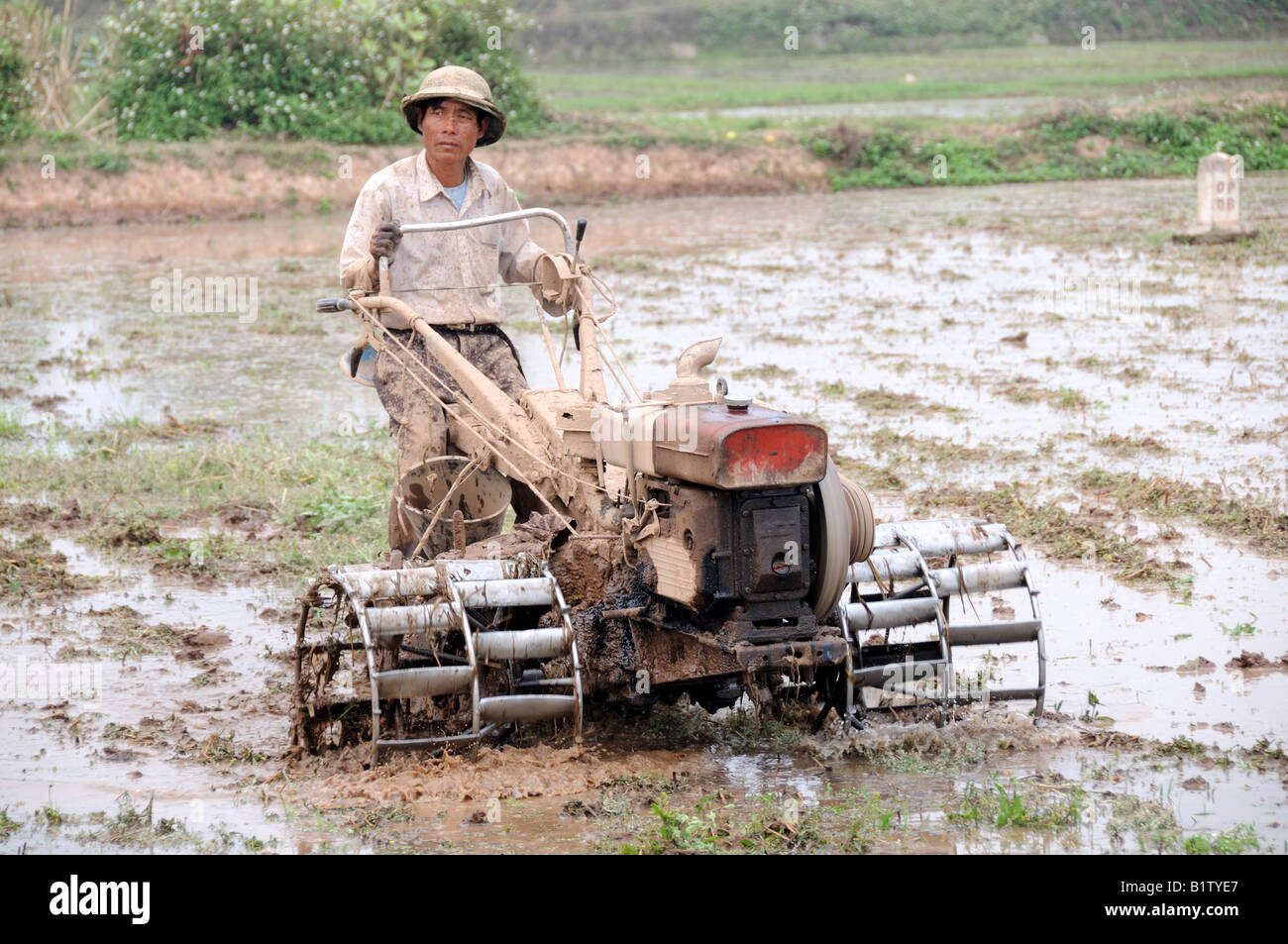 Vietnamesische Bauer, der pflügt ein Reisfeld mit einer Maschine Mekong Delta Vietnam Stockfoto