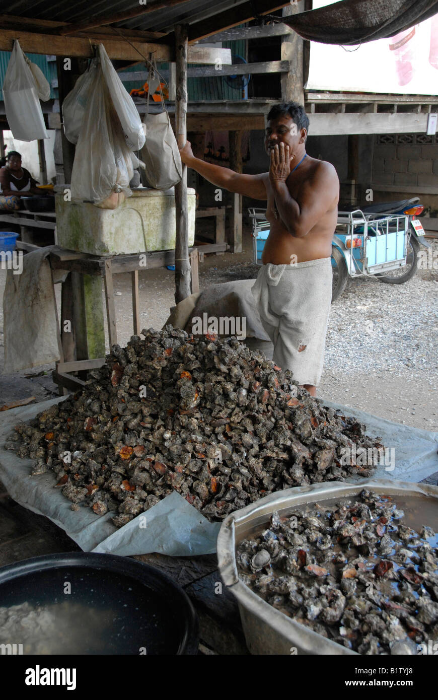 frische Austern zu fangen, Sea Gypsy Village Phuket thailand Stockfoto