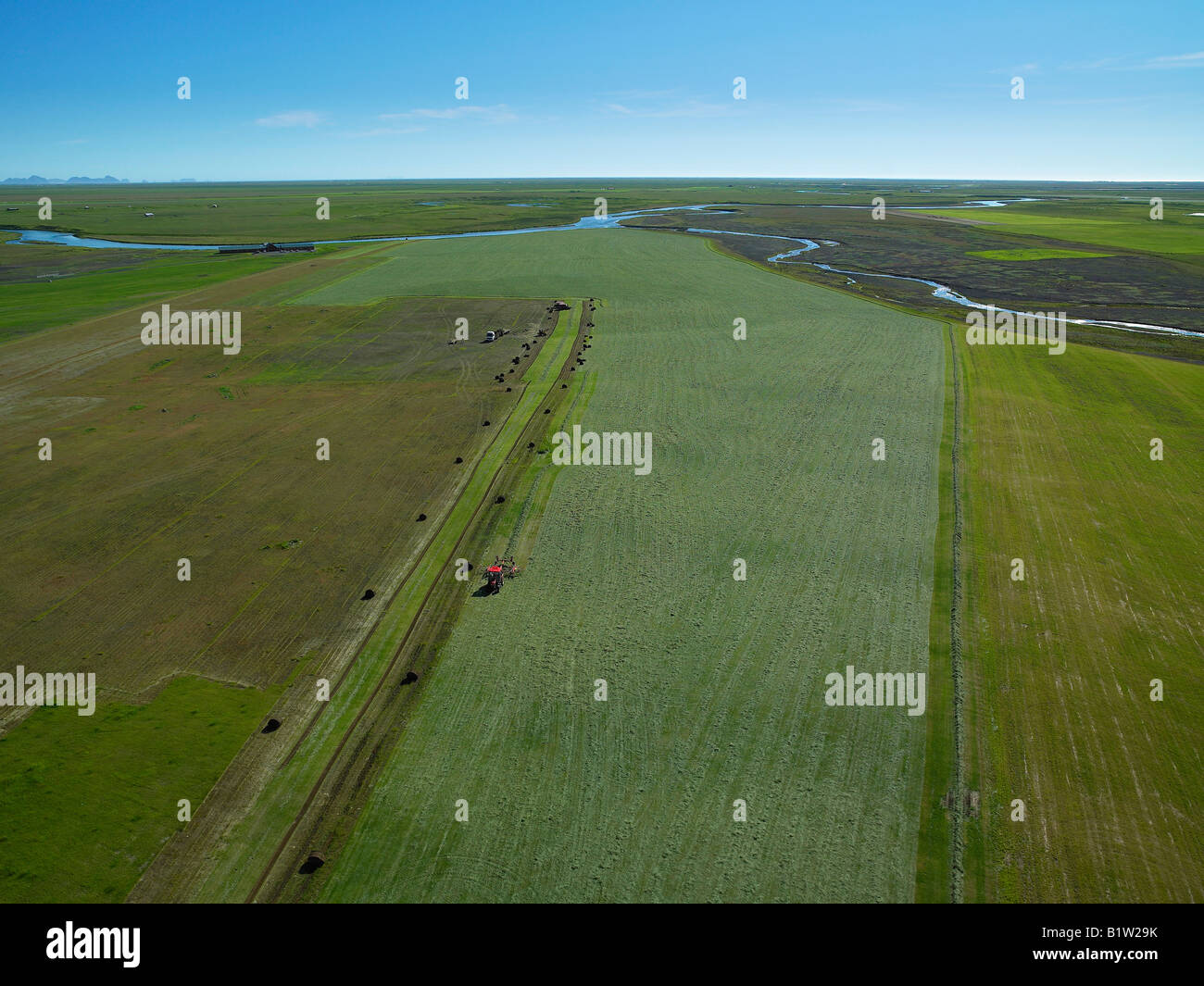 Heu Ernte, Island Stockfoto