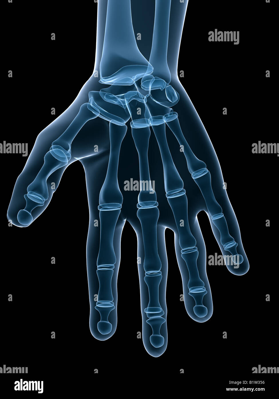 menschliche hand Stockfoto