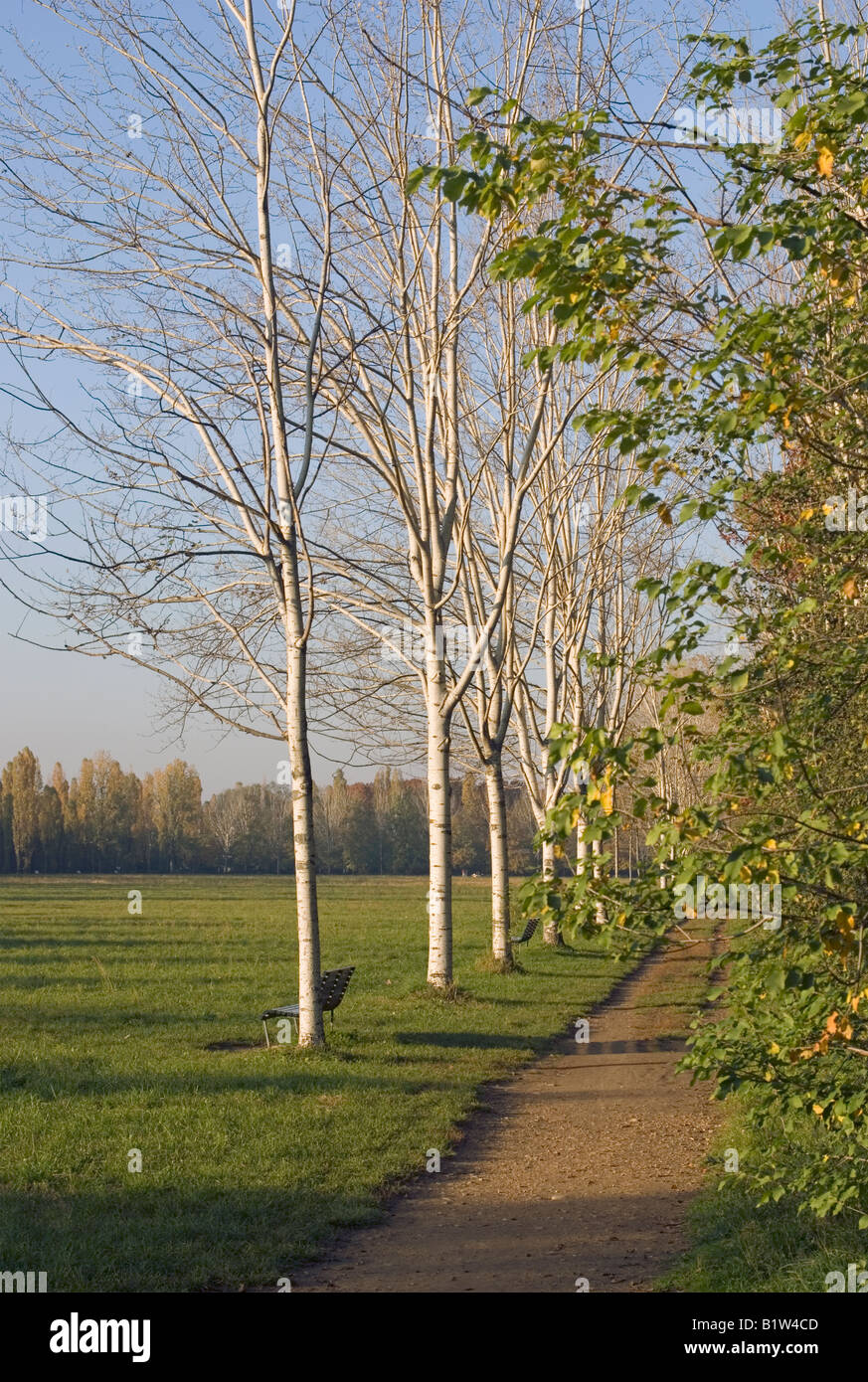 verfolgen Sie im Park Parco Nord Milano Stockfoto
