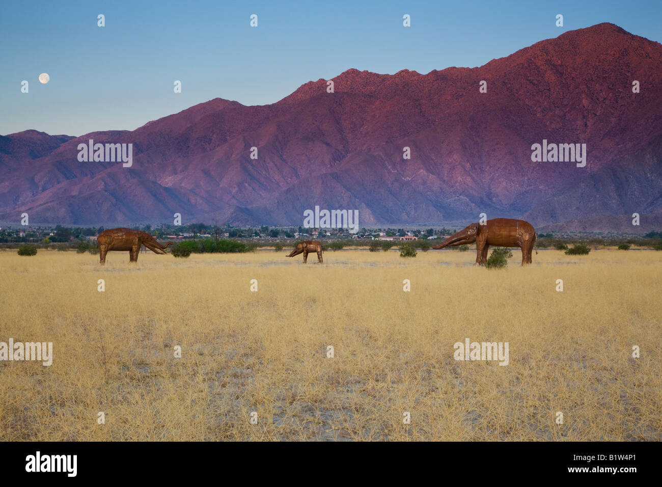 Metall-Skulpturen des Künstlers Ricardo Breceda in der Nähe von Anza Borrego Desert State Park Borrego Springs Kalifornien gomphotherium Stockfoto