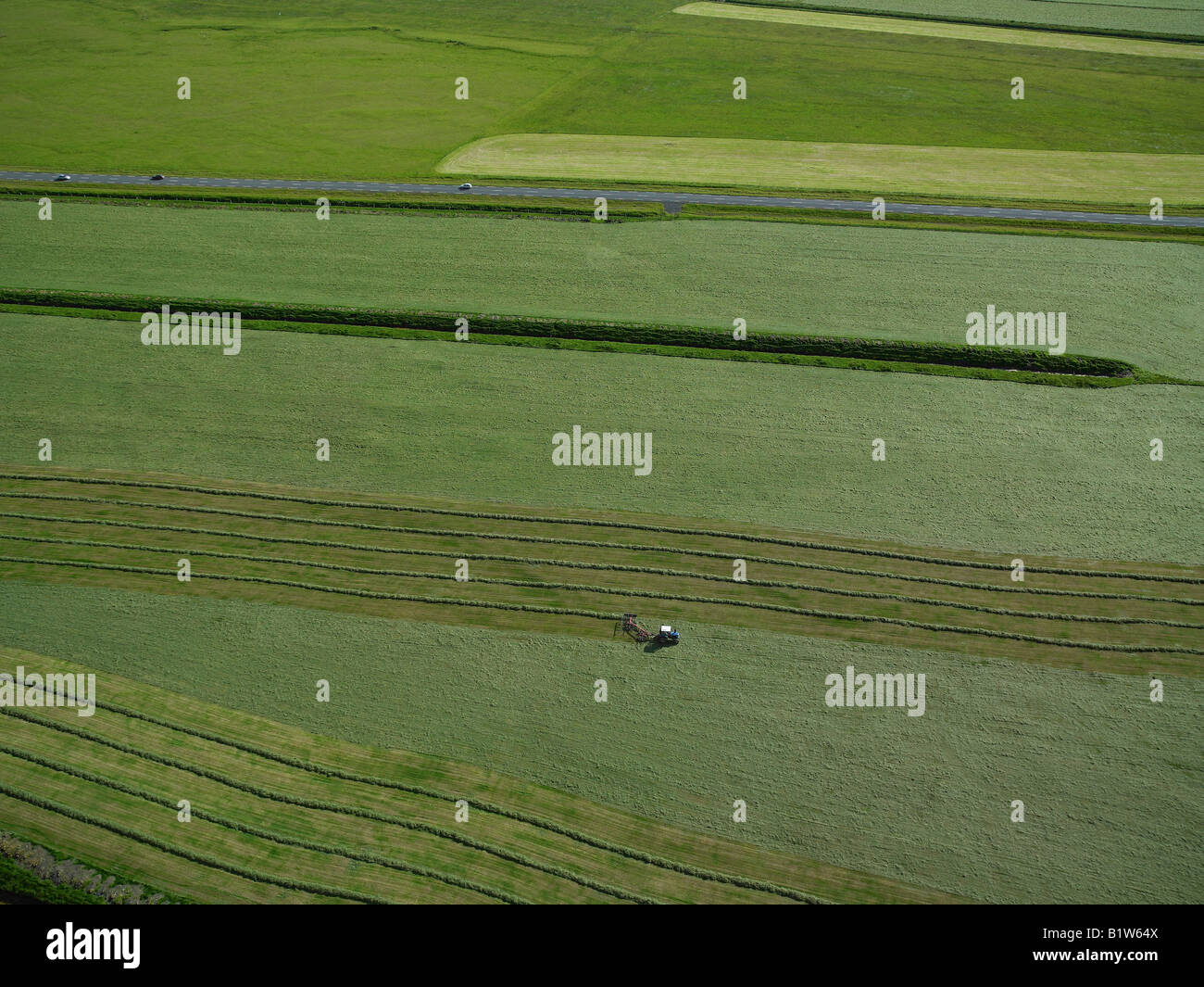 Hay Havest in Island Stockfoto