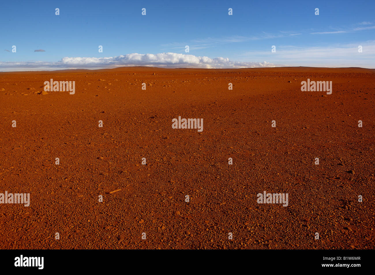 Rote Wüste Sand, Island Stockfoto