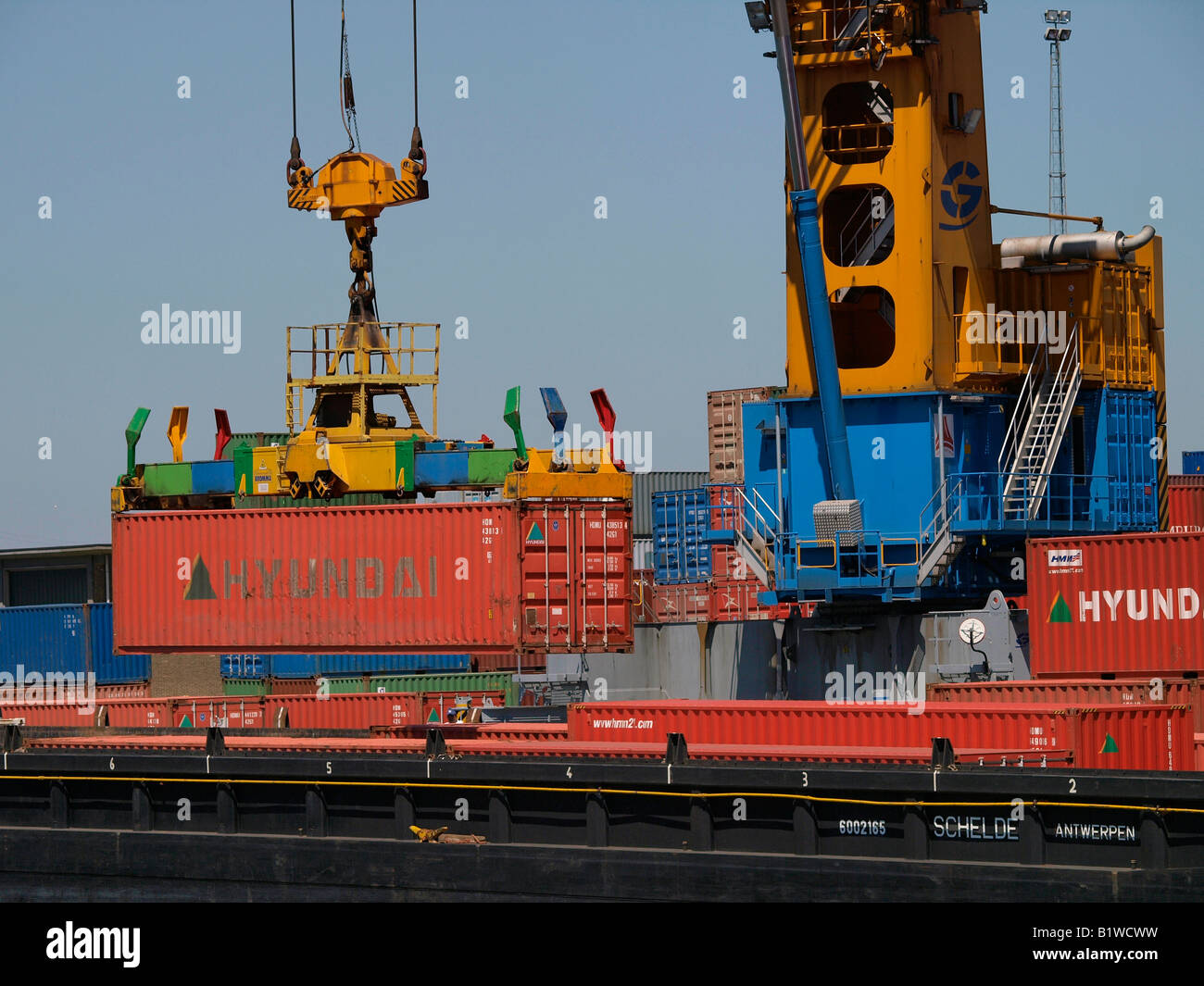 Roter Hyundai Container angehoben in ein kleineres Schiff für den Weitertransport in Europa Hafen Antwerpen Stockfoto
