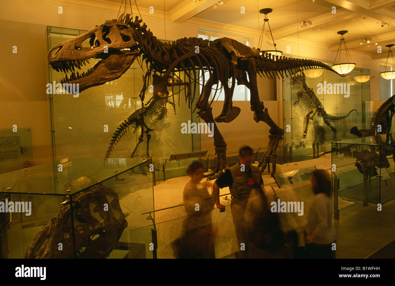 USA North America New York City Manhattan Natural History Museum innen Dinosaurier-Skelett Exponate mit Besuchern Stockfoto