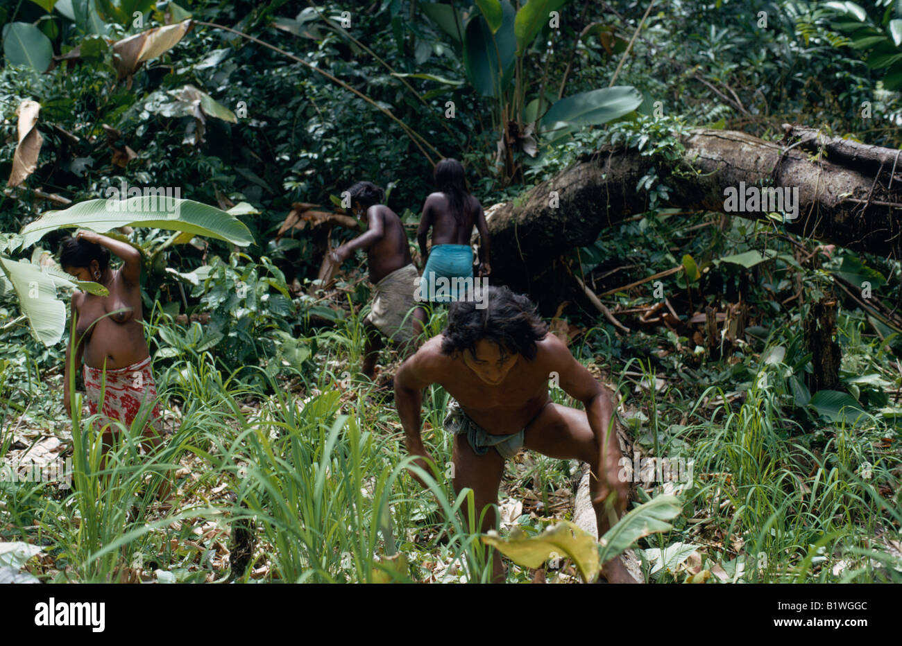 Kolumbien Choco Embera indigene Völker Stockfoto