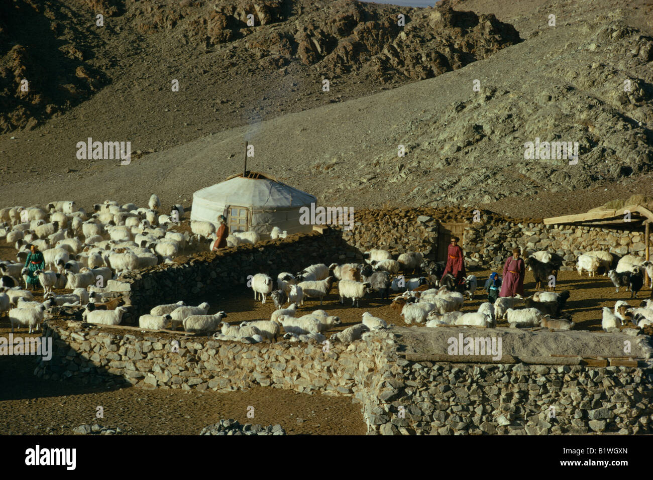 Mongolei Wüste Gobi Stockfoto