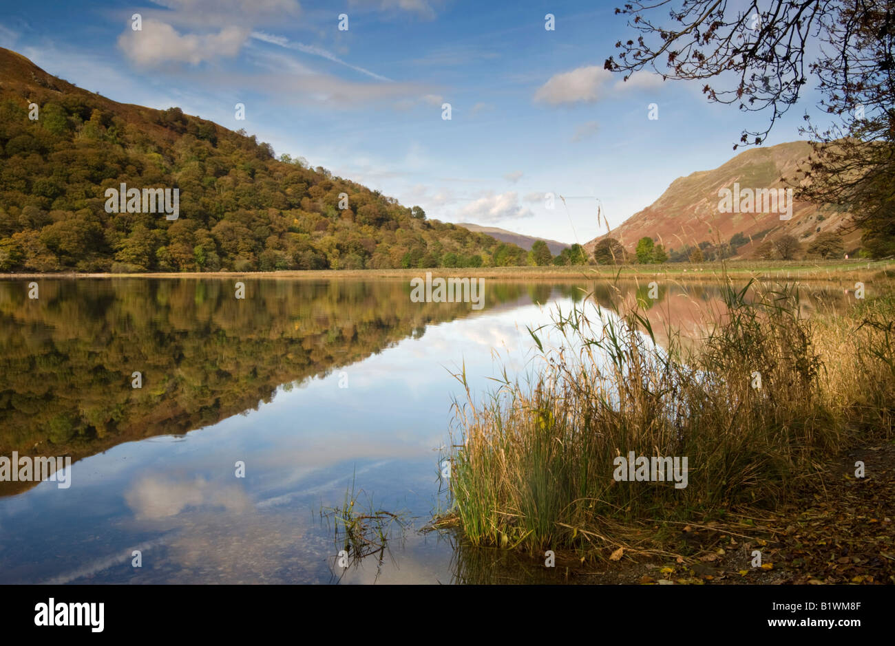 Reflexionen in Brüder Wasser, Nationalpark Lake District, Cumbria, England, UK Stockfoto