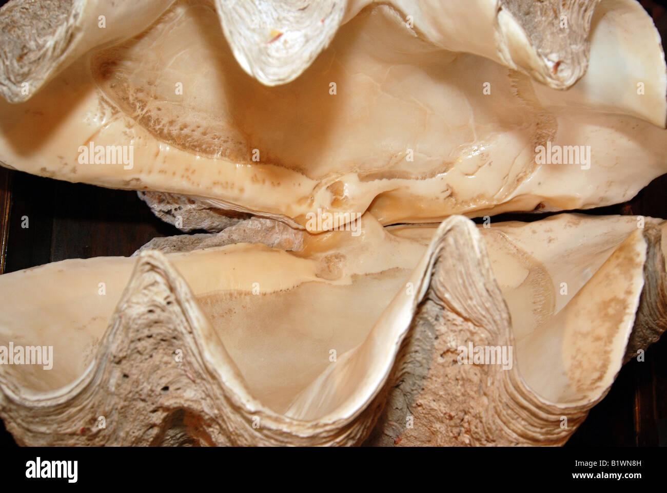 Große Schale im kleinen Museum in Paleokastritsa Kloster auch bekannt als Theotokos, griechische Insel Korfu Stockfoto