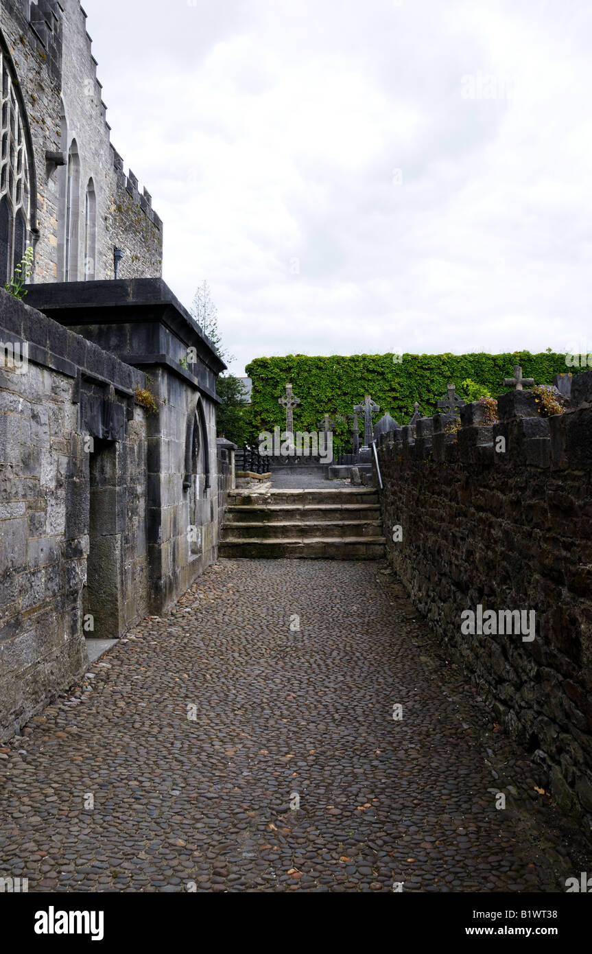 Dom St. Marien. Limerick, Irland. Stockfoto