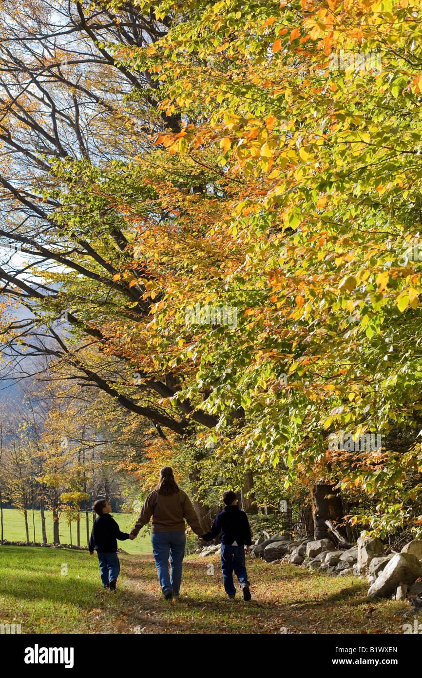 Mutter geht mit zwei Söhnen auf einem Wanderweg, gesäumt von Herbstlaub in Adams Massachusetts Stockfoto