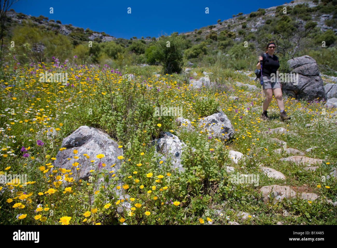 Wandern in den Parque Natural Sierra de Grazalema (Cortes De La Frontera-Bereich), Andalusien, Spanien Stockfoto