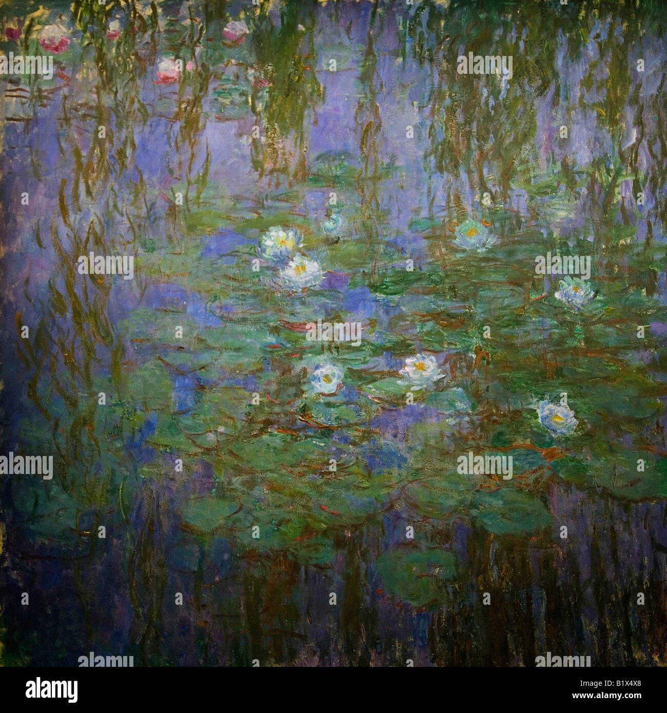 Claude water lilies Fotos und Bildmaterial in hoher Auflösung