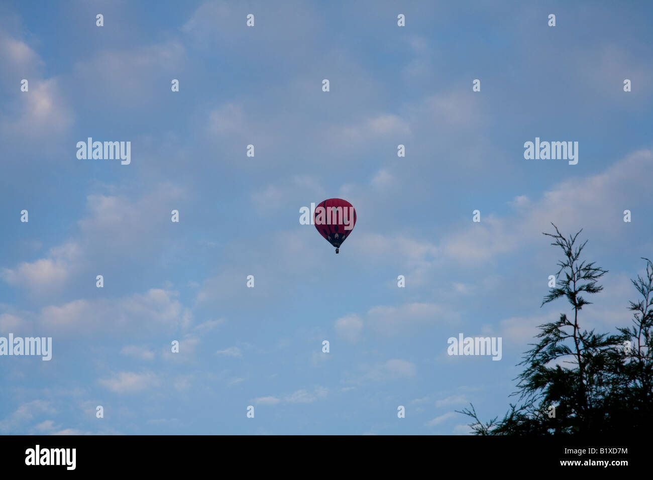 Marienkäfer Design Heißluftballon in den Himmel Stockfoto