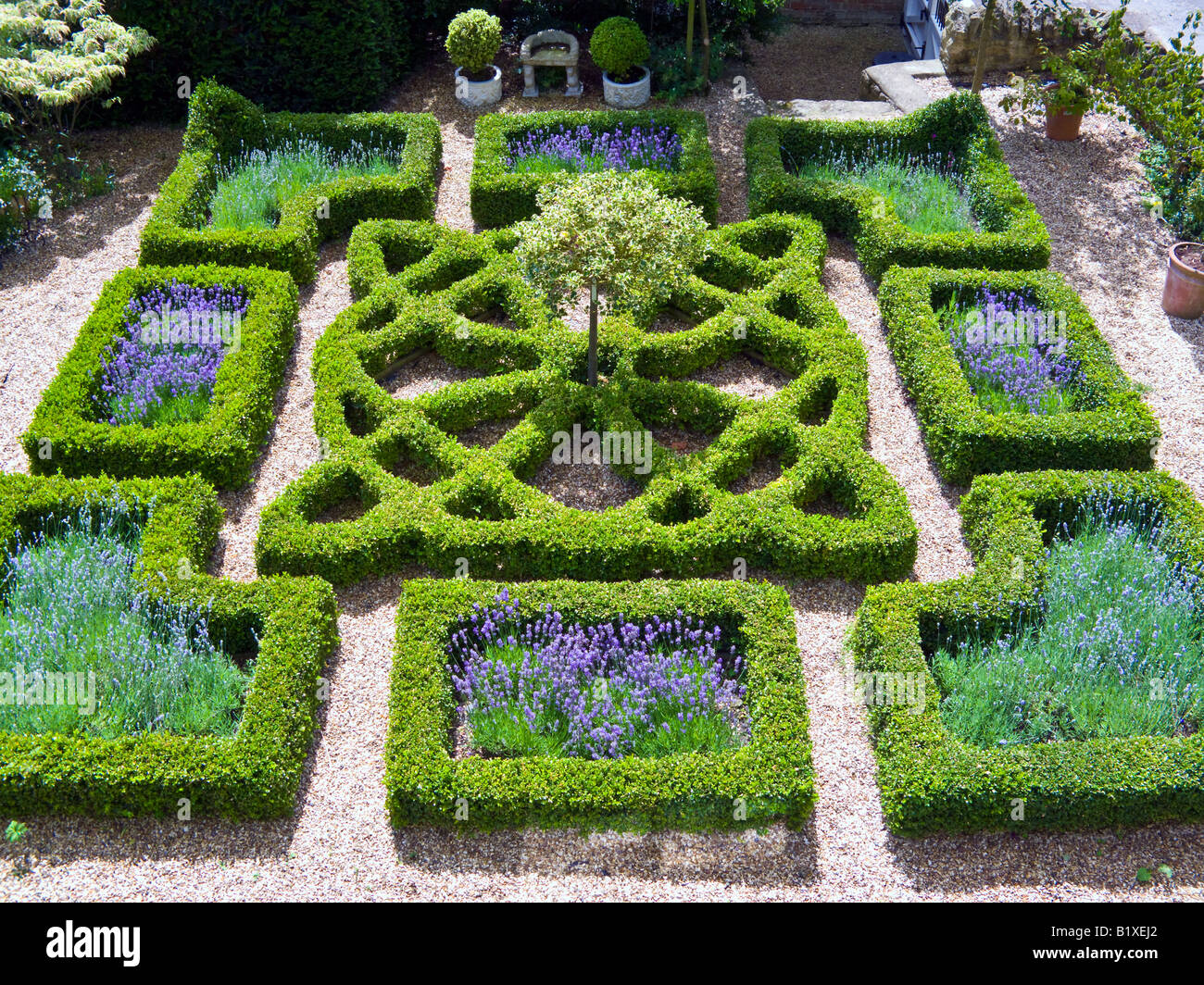 Traditionelle Knoten Garten in einem Haus in Oxfordshire Stockfoto