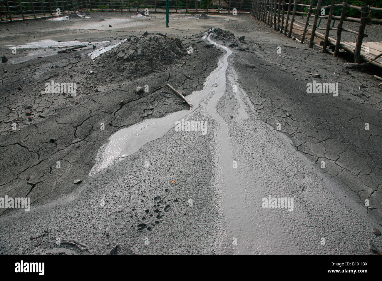 Schlammvulkan auf Baratang Island, Andamanen, Indien Stockfoto