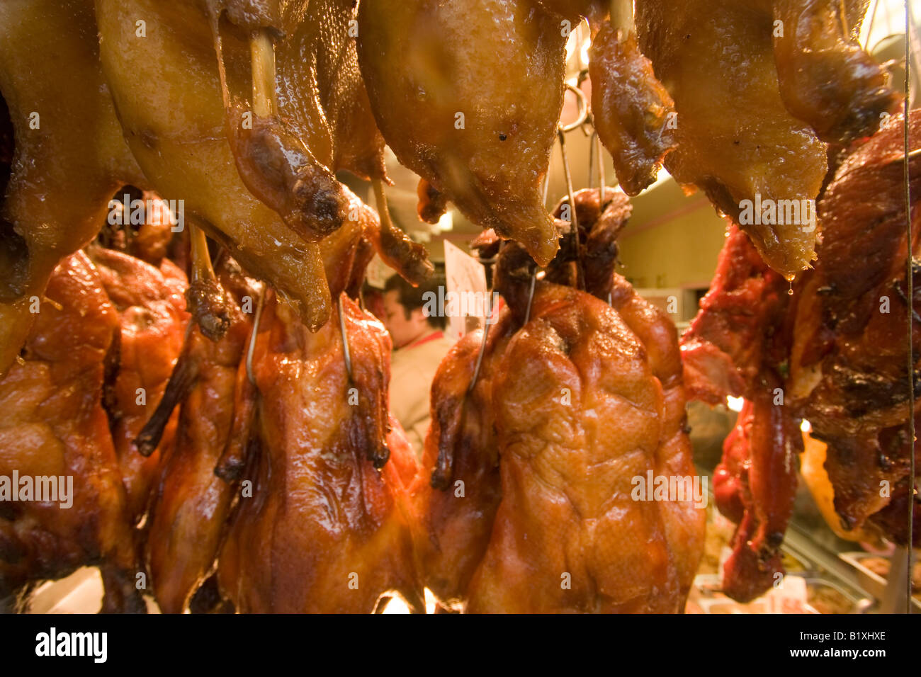 Enten in einem San Francisco Chinatown-Fenster Stockfoto
