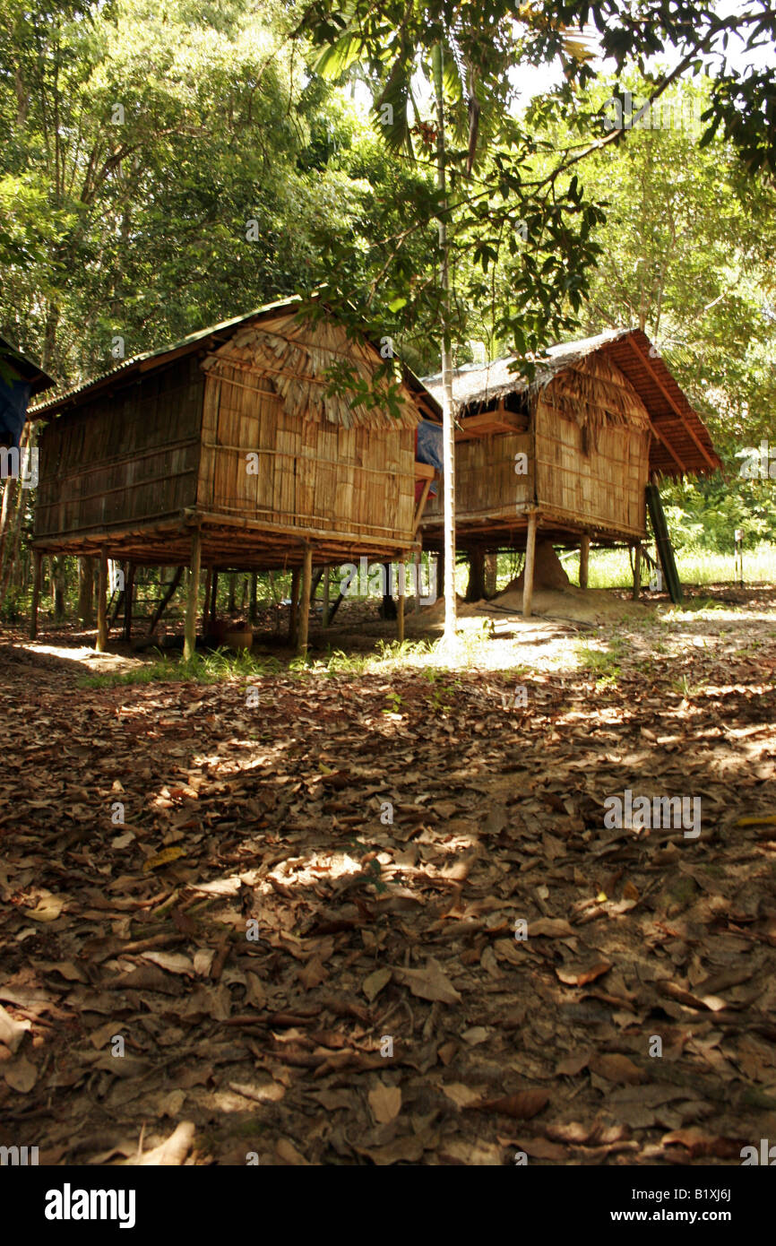 Traditionelles Haus Semelai indigener Bevölkerungsgruppen in Tasek Bera Malaysia Stockfoto