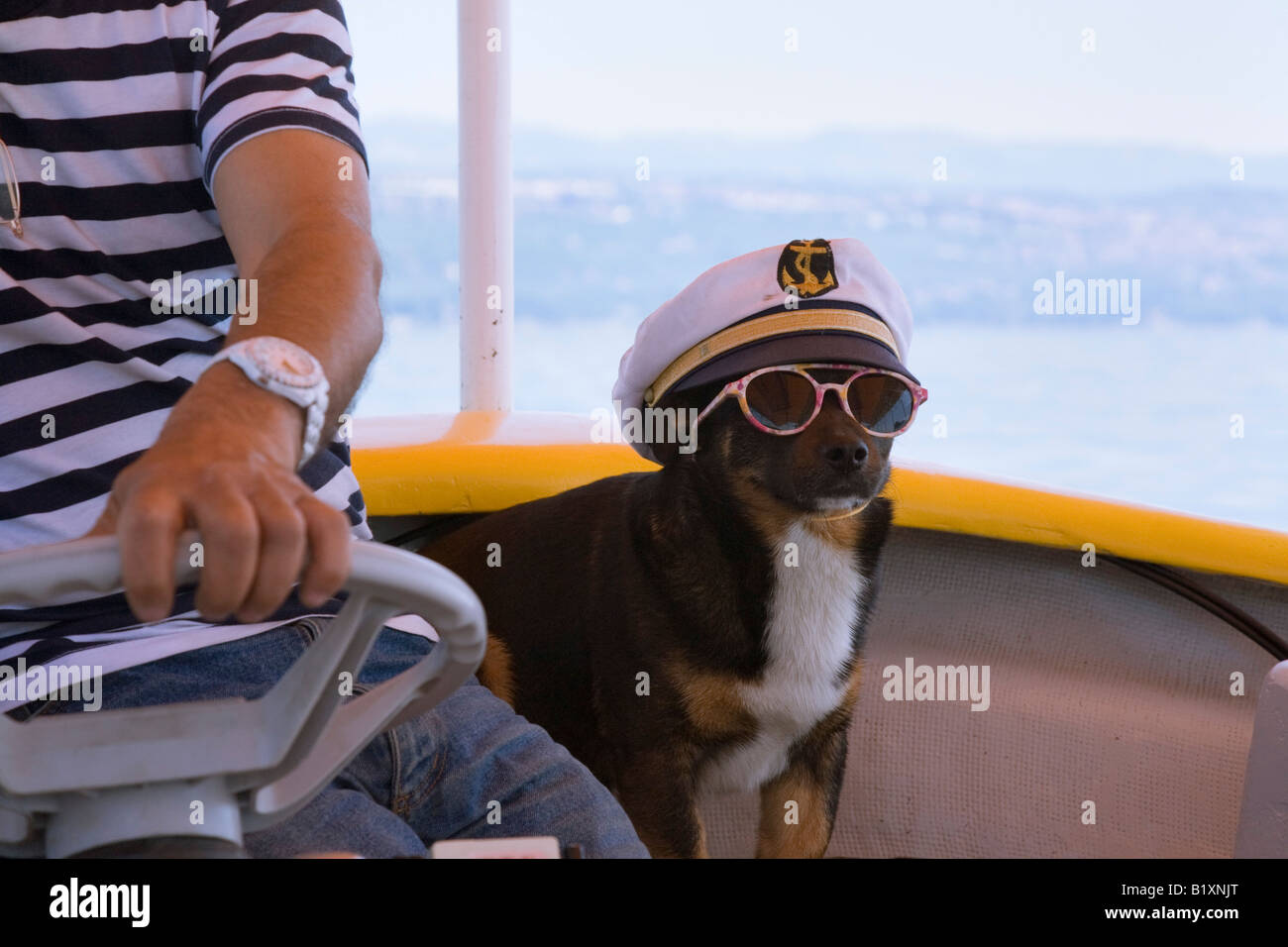 Opatija Istrien Kroatien Europa. Ein Mann und seine lustigen Hund trägt Sonnenbrille und Hut Seemann Stockfoto