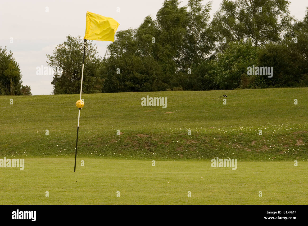 Golfflagge Stockfoto