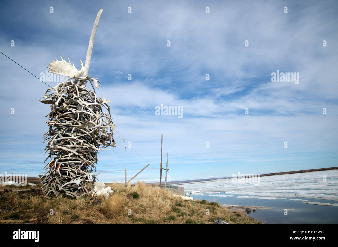 Jäger töten Graf Trophäe von Elche, Karibus und Moschusochsen.  In Sachs Harbour, Nordwest-Territorien, Banks Island gesehen. Stockfoto