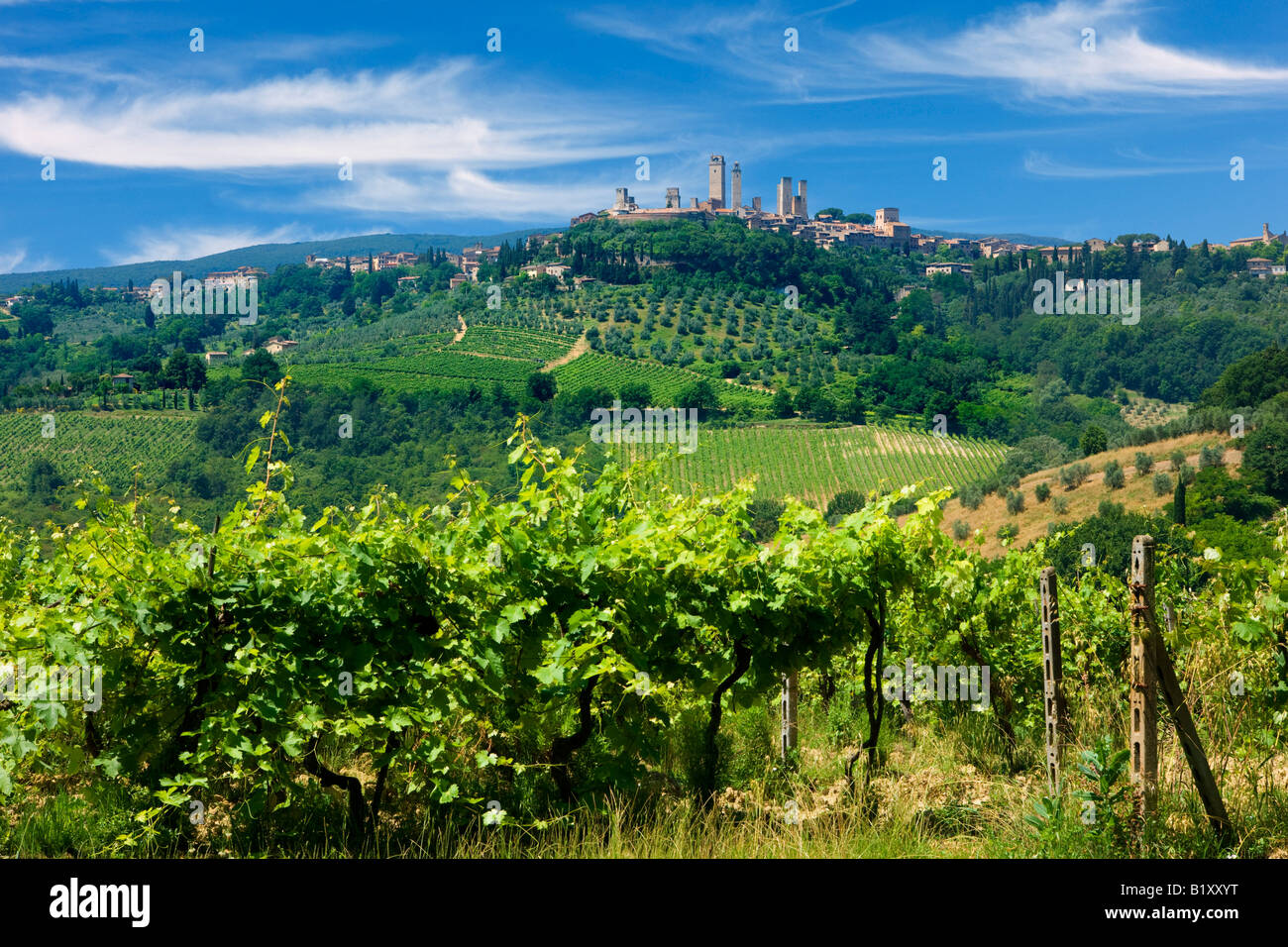 San Gimignano in der Toskana Stockfoto