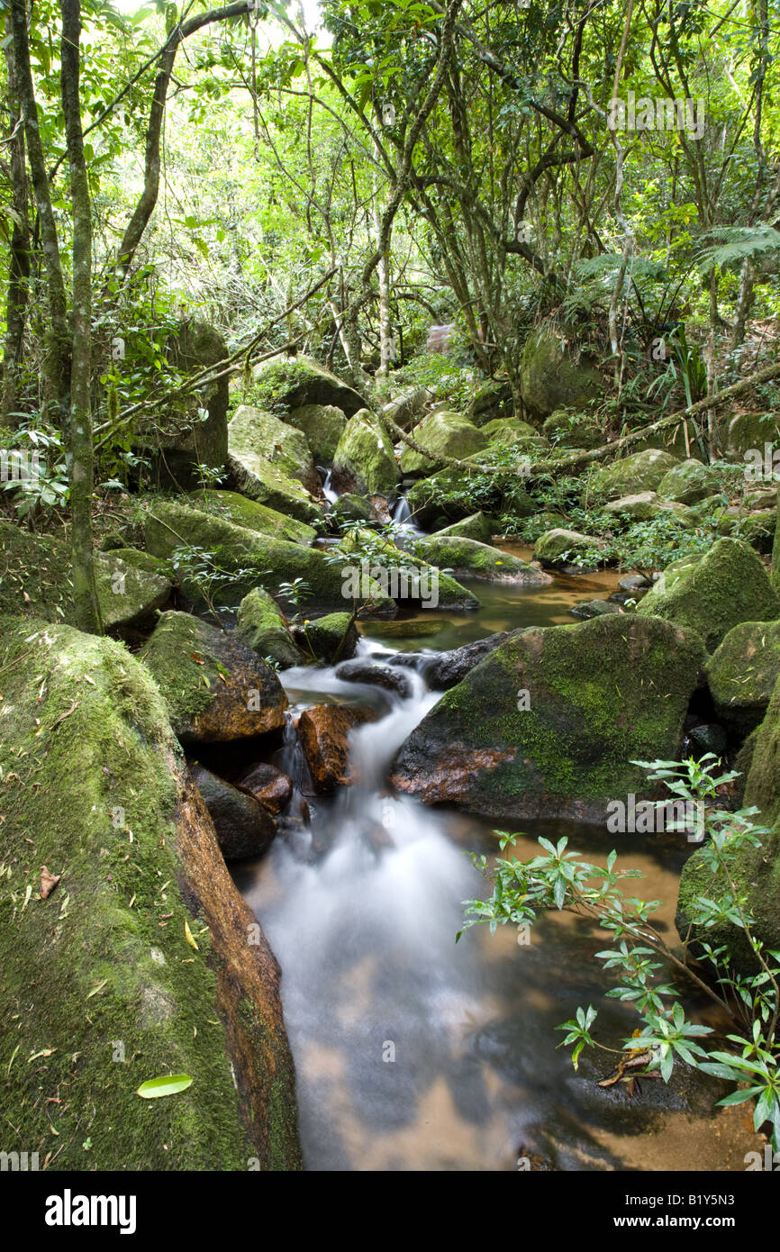 Fließenden Bach, Ilha Grande, Brasilien Stockfoto