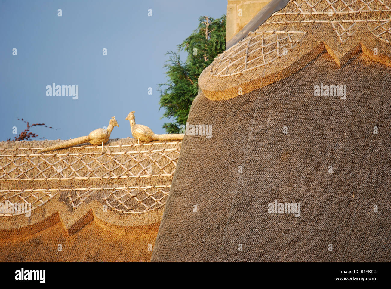 Neu strohgedeckten Cotswold Cottage Dach, Chipping Campden, Gloucestershire, England, Vereinigtes Königreich Stockfoto