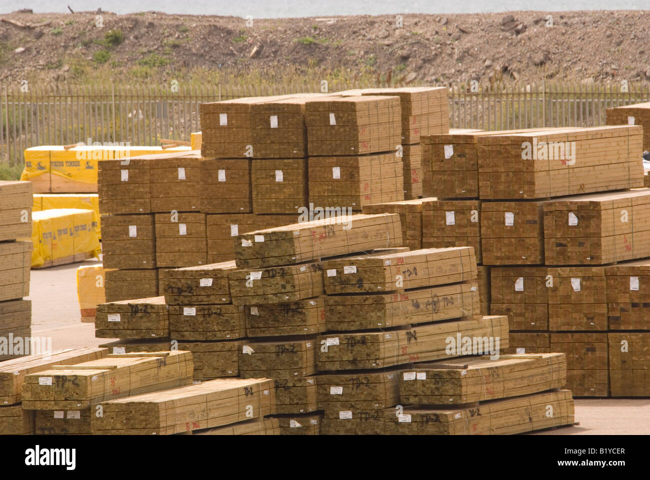 Holz importiert in Shoreham Hafen, Sussex, England Stockfoto